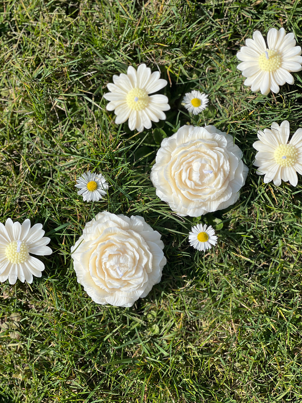 Peony Kerze