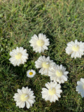 5er Bundle Daisy Kerzen